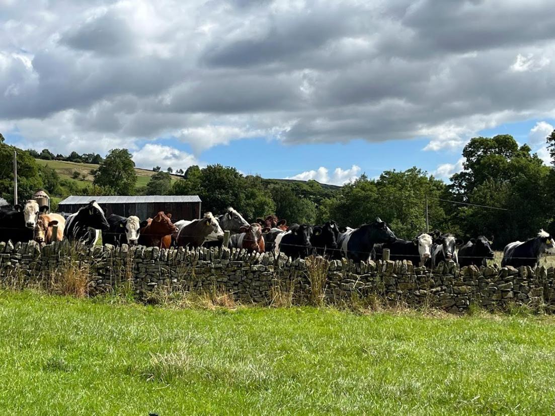 Riding House Farm Cottages Castleton  Exteriör bild