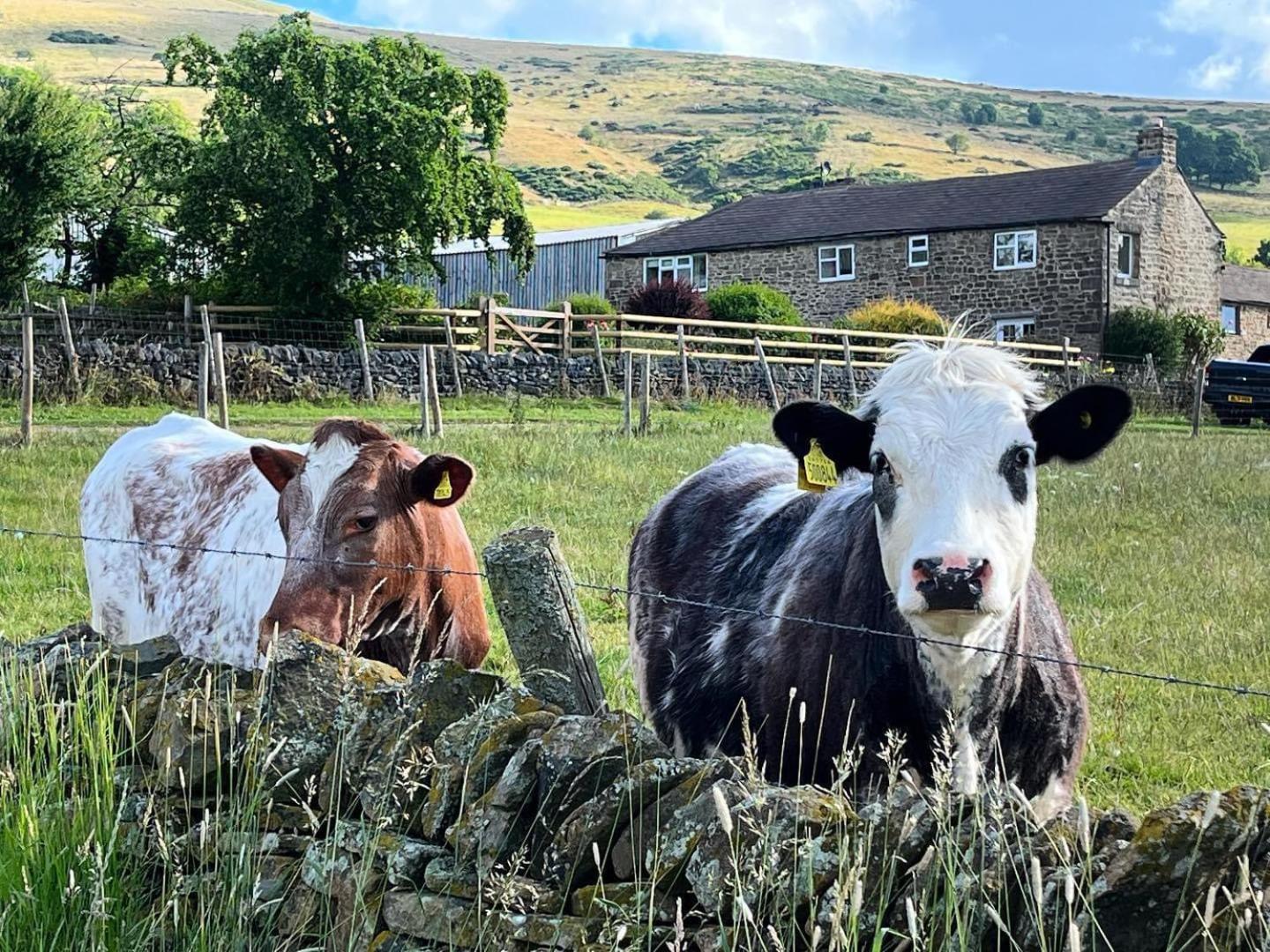 Riding House Farm Cottages Castleton  Exteriör bild